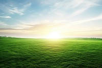 Beautiful green dune field landscape background backgrounds sunlight outdoors.