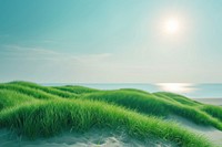 Green dune field landscape background sky outdoors horizon.