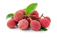 Lychee fruit berry plant.