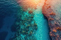 Beautiful corals underwater landscape outdoors nature sunset.
