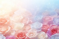 Roses wedding gradient background backgrounds abstract flower.