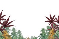 Cannabis flower border backgrounds cannabis plant.