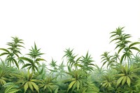 Cannabis line horizontal border backgrounds vegetation plant.