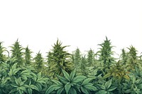 Cannabis line horizontal border backgrounds plant leaf.