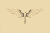 Litograph minimal angel drawing sketch bird.