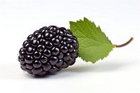 Black berry blackberry fruit plant.