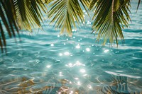 Summer tropical beach background with palm leaves sparkling water reflections summer backgrounds outdoors.