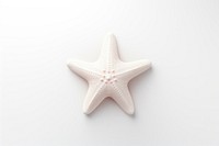 White starfish invertebrate simplicity echinoderm.