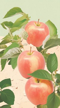 Apple plant fruit peach.