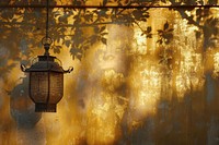 Chinese gold background architecture backgrounds lantern.