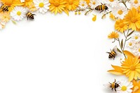 Flowers and honey bees floral border backgrounds insect petal.
