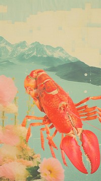 Lobster seafood animal invertebrate.