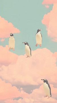 Penguins animal cloud bird.