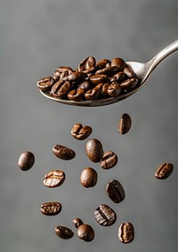 A coffee beans falling on the spoon refreshment ingredient freshness.