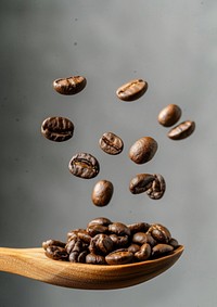 A coffee beans falling on the wood spoon invertebrate refreshment ingredient.