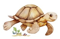 Cute sea turtle reptile animal representation.