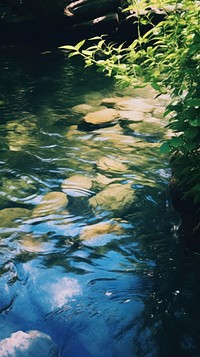 Summer wallpaper outdoors nature stream.