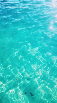 Summer wallpaper underwater outdoors swimming.