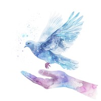 Hand holding dove in Watercolor style animal bird creativity.
