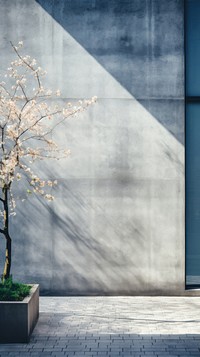 Large building wall in spring architecture outdoors flower.