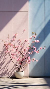 Large building wall in spring architecture outdoors blossom.