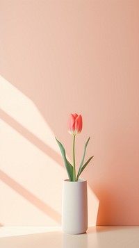 Tulip flower plant vase.