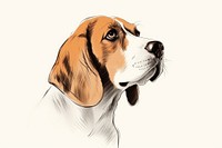 Beagle drawing animal mammal.