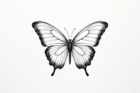 Butterfly butterfly drawing insect.