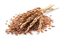 Rice brown food seed.