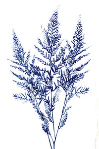 Vintage drawing chenille plant sketch illustrated lavender.