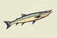 Fish animal seafood herring.
