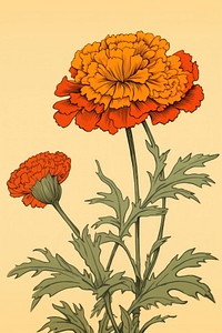 Marigold isolated flower plant red.