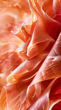 Parma ham food macro photography backgrounds.