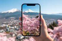 Smartphone screen of Hokkaido video in Japan blossom flower plant.