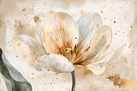Tulip watercolor background painting blossom flower.