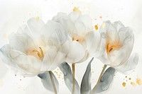 White tulip watercolor background painting blossom flower.
