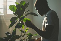 Man cleaning up the houseplant nature adult leaf.