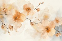 Floral watercolor background backgrounds painting blossom.