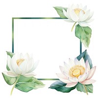 White lotus frame watercolor flower plant white background.