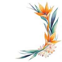 Bird of paradise frame watercolor pattern plant white background.