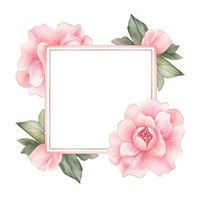 Camellia frame watercolor flower petal plant.