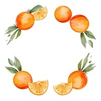 Orange frame watercolor grapefruit plant food.