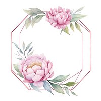 Peony frame watercolor pattern flower plant.