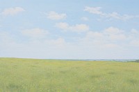 Meadow Field field sky grassland.