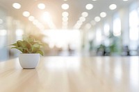 White office bokeh background plant table light.