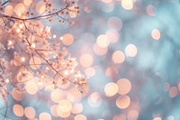 White and light peach bokeh backgrounds outdoors blossom.