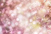 White and light pink bokeh backgrounds outdoors blossom.