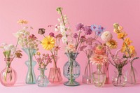 Flowers glass vase with various pastel colors flower plant pink.