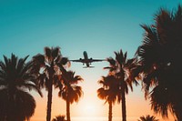 Palm trees with a plane silhouette aircraft airplane outdoors.