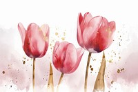 Pink tulip watercolor background blossom flower petal.